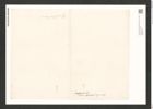 Diatomeae indet. Zeichnungen Sammlung Grunow (NHMW-BOT-W0370817)